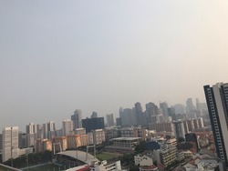 Sturdee Residences (D8), Condominium #209784881